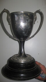 Trophy