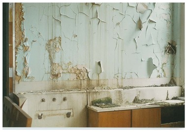 Photograph, c.1995