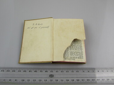 Bible - New Testament