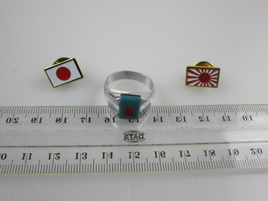 Ring & Lapel Pins (2)