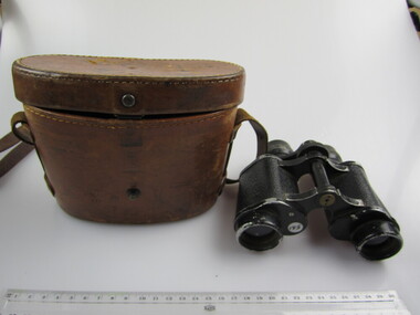 Binoculars (in leather case)