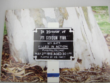 Photograph - Memorial Tree