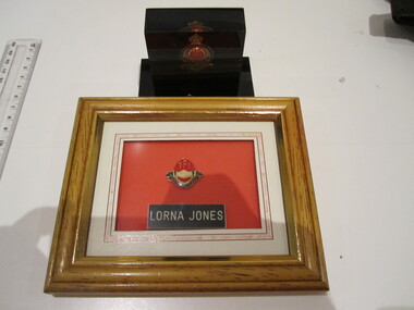 Badge -Life Member TPI (1984) frameD & Life Member Badge mounted in plaque