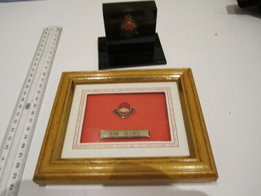 Badge -Life Member TPI (1984) framed & Life Member badge mounted in plaque