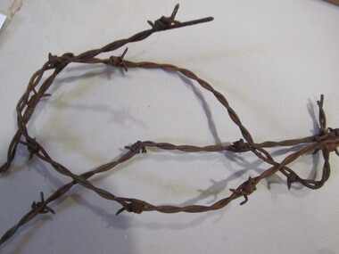 Barbed Wire (3pc)