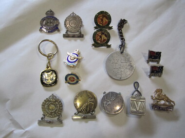 Badges - various x 15