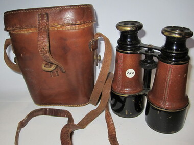 Binoculars in leather case