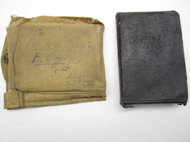 New Testament (in pouch)