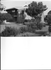 St Matthews/Wiseman House Archive