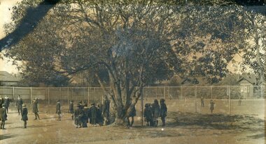 Photograph - original, Playground and tennis courts at Torrington Street, Canterbury, 1927