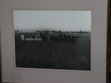 Black and White Photograph, Old Harvester, Sunshine