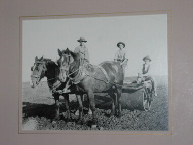 Black and White Photograph, Horse and Cart