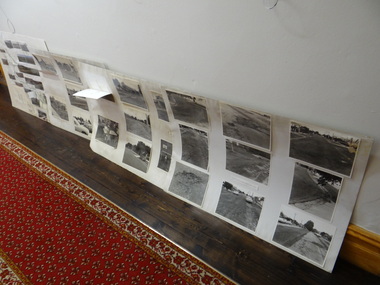 4 boards with photographs