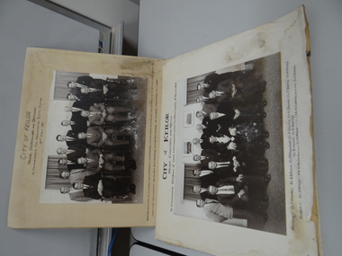 Councillors' Portraits
