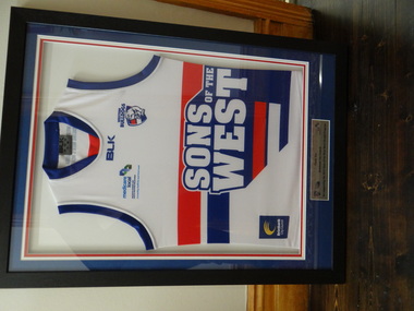 AFL Fottball Shirt, Framed Western Bulldogs Shirt