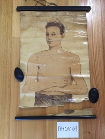 Chart, medical, human body, Ruddiman, Johnston & CO., Ltd