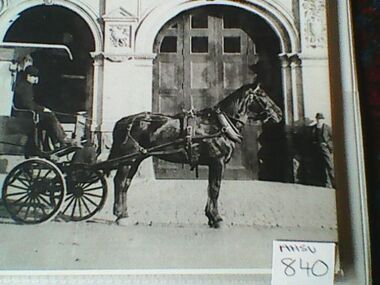 Photograph, Ambulance, Horse Drawn, Circa 1900