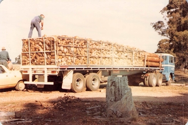 Photograph, Cutting wood to raise funds
