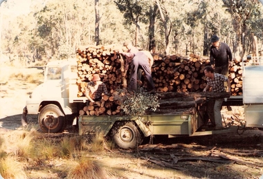 Photograph, Cutting wood to raise funds