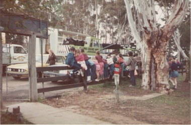 Photograph, Bulla Primary School, 1984