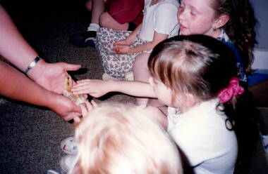 Photograph, Bulla Primary School