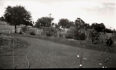 Photograph, Eric Boardman's Garden, c1930s