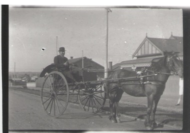Photograph