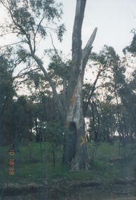 Photograph, 18th October 1998