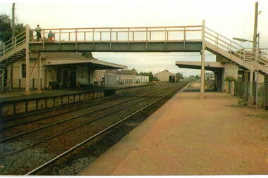 Photograph, c