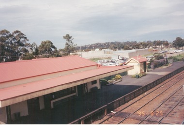 Photograph, Rosa McCall, 25 August 1995