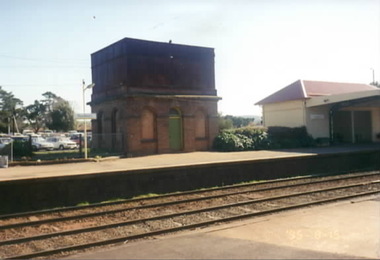Photograph, Rosa McCall, 15th August 1995