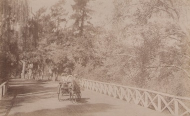Photograph, c1900s