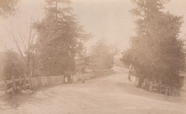 Photograph, C