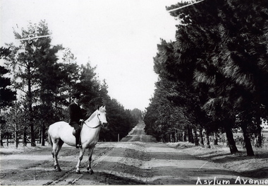 Photograph, c1900s