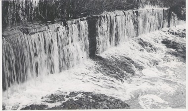 Photograph, 1935