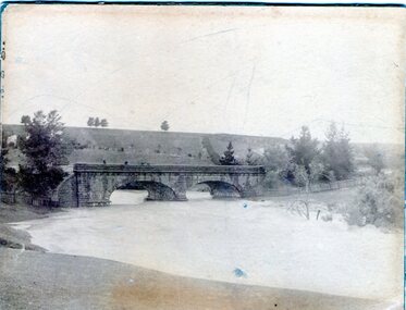 Photograph, 1916 - 1917