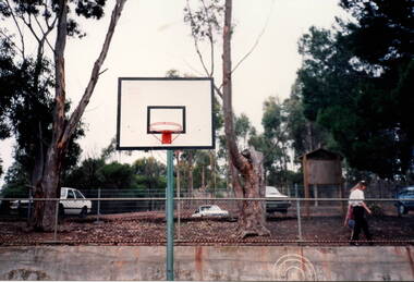 Photograph, Garden improvements, 1994