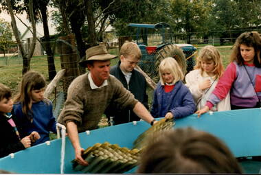 Photograph, Fish hatchery, 1988