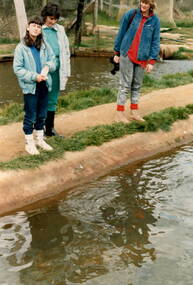 Photograph, School Camp, 1988