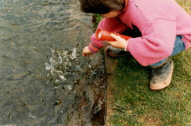 Photograph, School Camp, 1988