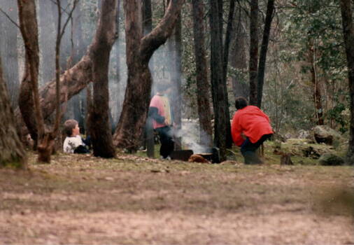 Three boys in the bush tending a camp fire. 