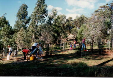 Six children and an adult working in a native garden on a hillside.