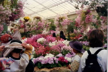 Threee children are looking at a beautiful floral display in a conservatory.