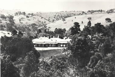 Photograph, 'Glenara' Homestead