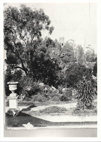 Photograph, 'Glenara' Homestead