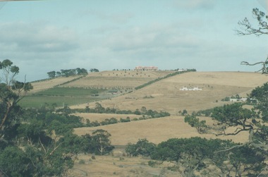 Photograph, Sue Palmer, Landscape, March 2001