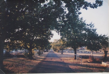 Photograph, Lydia Kenworth, Sunbury Cemetery, March 2001