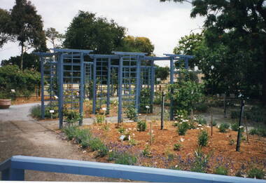 Photograph of a newly planted-out rose garden with some trellises erected on the garden beds.