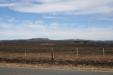 Photograph, Rosa McCall, Riddell Road, February 2014
