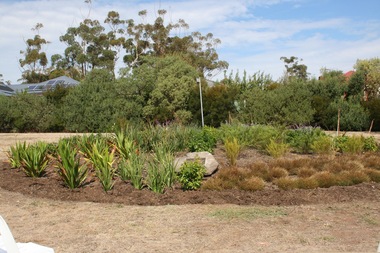 Photograph, Rosa McCall, Sunbury Cemetery, April 2014